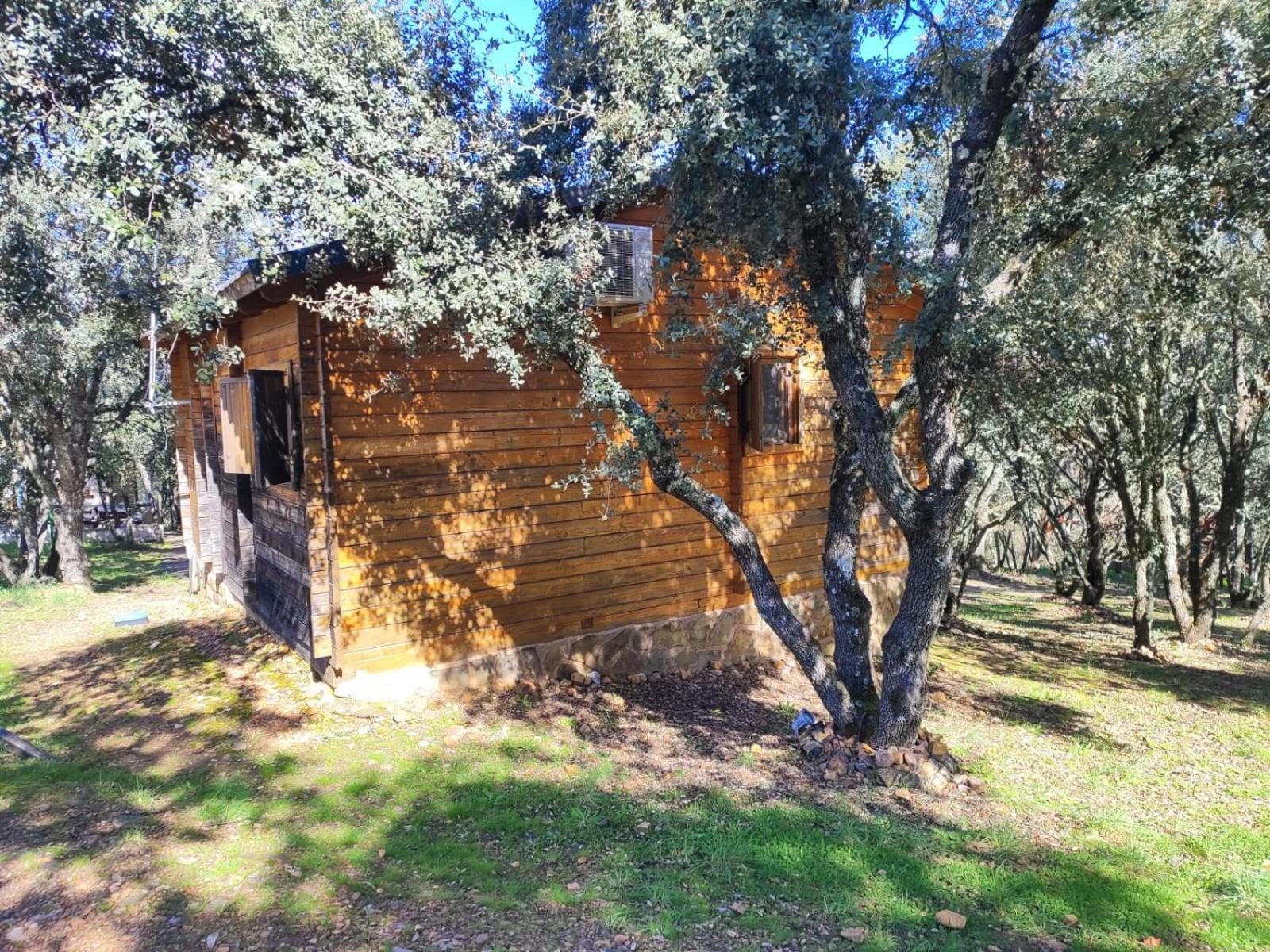 Nuevo Ecolodge Cabaneros Retuerta de Bullaque Exterior foto